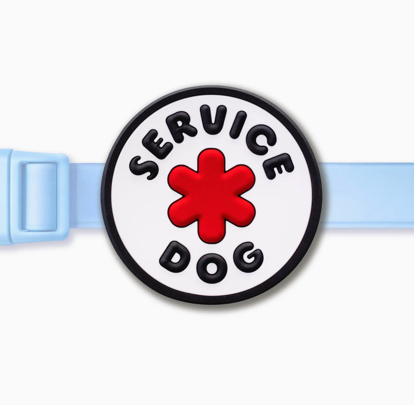 Service Dog Jiby