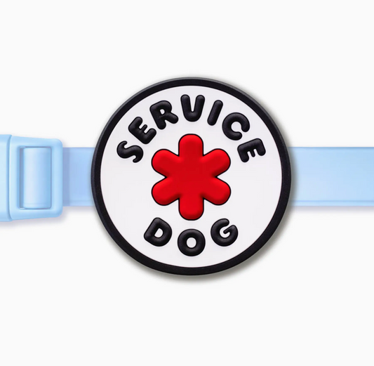Service Dog Jiby