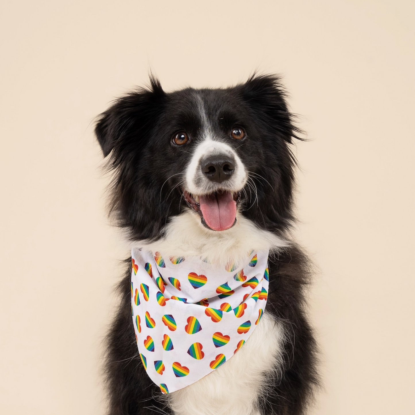 Pride Hearts Dog Bandana