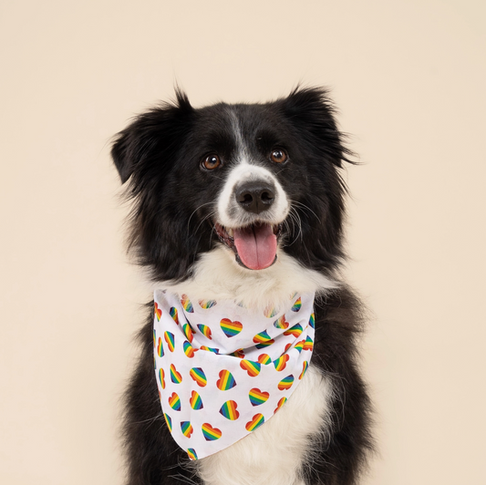 Pride Hearts Dog Bandana