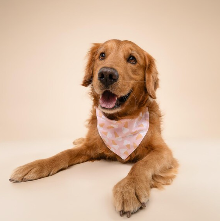 Scoops Dog Bandana